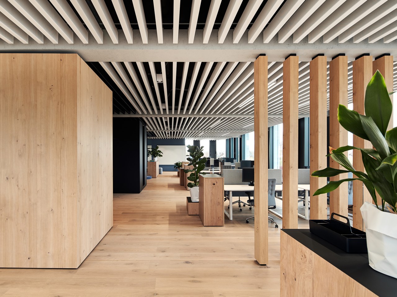 Isabell-Ehring-Innenarchitektur-Stuttgart---Neubau-Buero-MAS CAMPUS-9.jpg Isabell-Ehring-Innenarchitektur-Stuttgart---Neubau-Buero-MAS CAMPUS-9.jpg